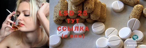 тгк Алзамай