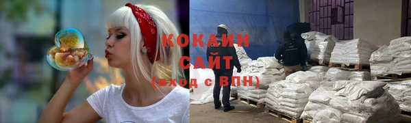 тгк Алзамай