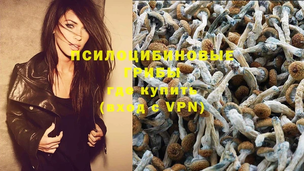 первитин Алексеевка