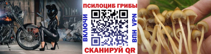 что такое наркотик  Боготол  Псилоцибиновые грибы прущие грибы 